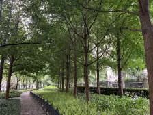 上海滩新昌城 3室2厅 东 南