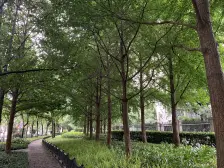 人民广场·上海滩新昌城·3室·2厅