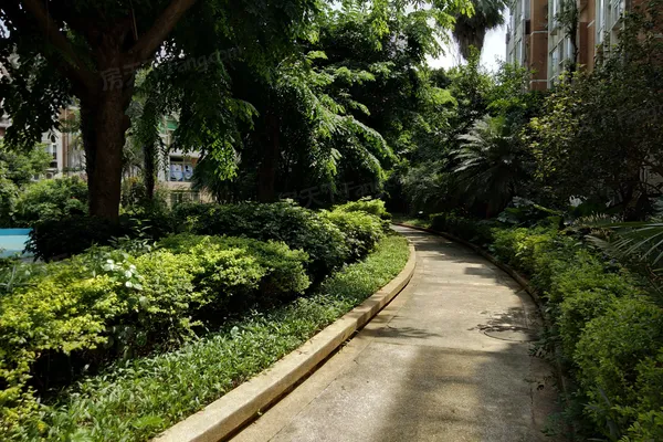 南国奥园雅典区