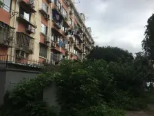 新出南北通两房 商品房 近地鉄 有学小 商业配套全出门是商业