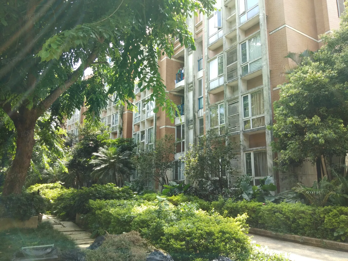 南国奥园雅典区