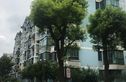 宝业馨康苑实景图