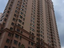 精装修 三室明厅明卫 南北西 无遮挡