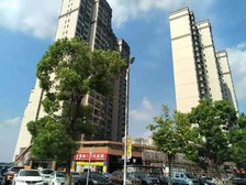 房子无欠款,满五唯一,生活便利。