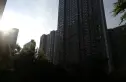 西部枫景实景图
