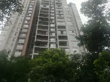 全看中庭绿化,居家安静家里阳光充足阳台东南朝向