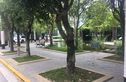 宝业馨康苑实景图