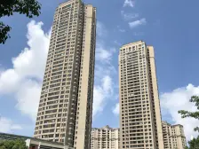 一线江景视野,东南朝向,看两江交汇,精装大平层