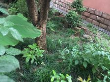 漕河泾·桂林苑·2室·1厅