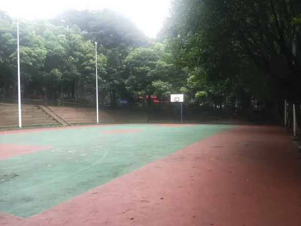 渝安金港尚城实景图