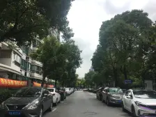 万达板块,一号线共康站,顶楼复式,6房,两个大露台