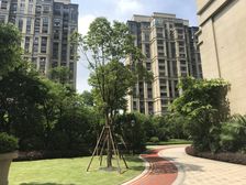 万科物业 凡尔赛宫B区 台江华伦 人车分流 地铁4号线