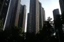 西部枫景实景图
