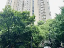 上海滩新昌城1室南朝向766.00万元/套出售