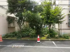 城西一村1室南朝向100.00万元/套出售