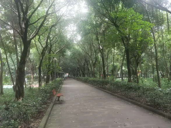 渝安金港尚城实景图