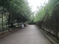 盛景龙庭 3室1厅 南