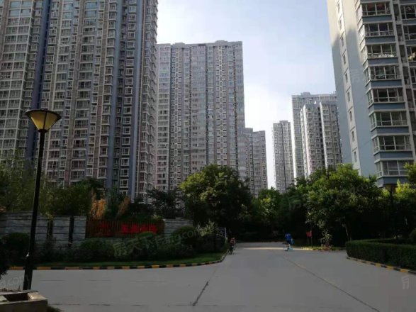 西部枫景实景图
