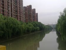 江桥 · 中星海上名豪苑(二期) · 5室 · 3厅