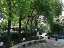 豫园板块,全明大三房,业主诚意,高区,采光视野好