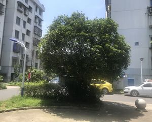 鹤池苑高楼层,采光好,交通便利,配套全