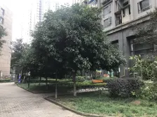 东方明珠 1室1厅 东南