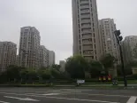 项目楼栋实景图