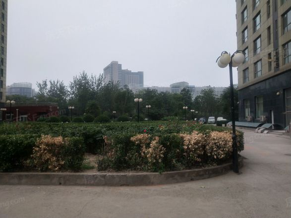 天下儒寓实景图