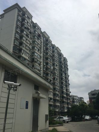 大华锦绣华城第19街区实景图