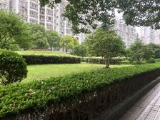 诚意出售,品质小区,环境优美,居家装修