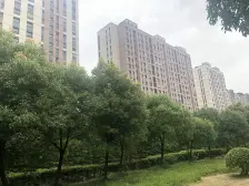 前后没有遮挡,满五位一中间楼层 现场实勘