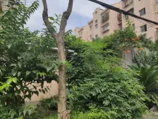 老年人的福音,一楼全明两房,户型正气采光全天刺眼可砍价