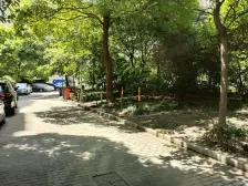 瑞虹板块 和平公园门口天然氧吧 双南大两房