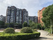 (正宗平顶电梯大复式) 上下一样大 大露台 可6-7房可大刀