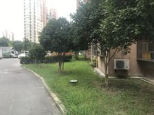 电梯房,大开间,品质小区,精装修,诚意出售