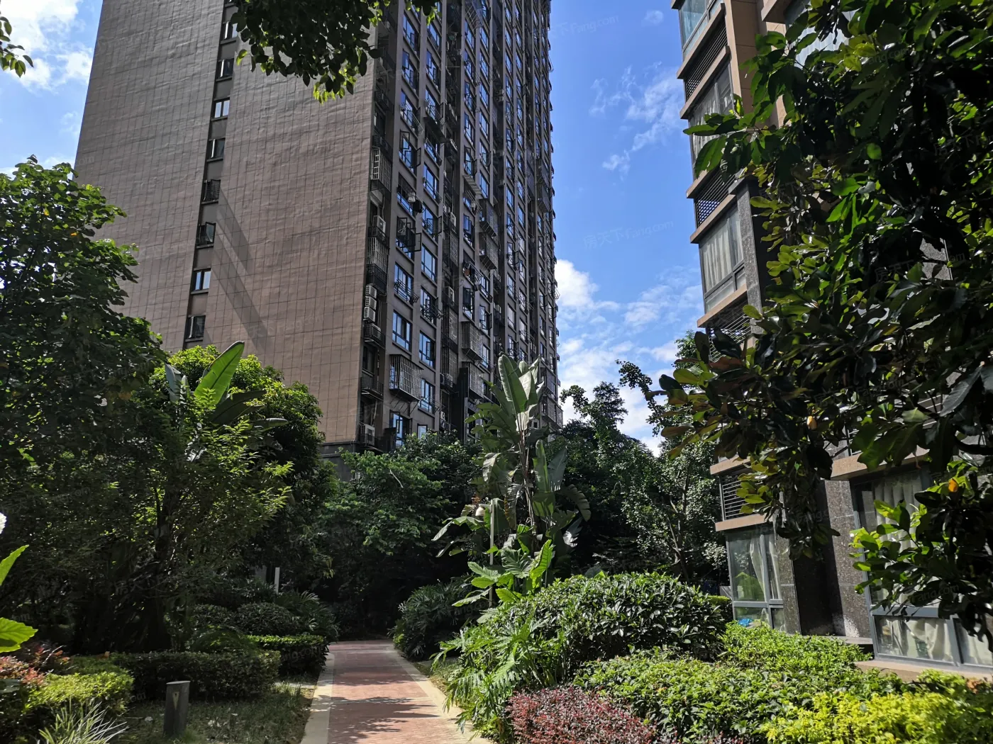 红星国际晶品-福州房天下