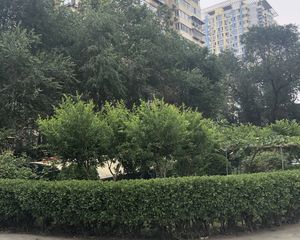 商品房双门禁小区高楼层视野好精装修