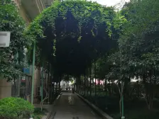 太阳都市花园一期 2室2厅 西 北