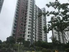 店长优选 业主诚意出售,景观楼层,税费少