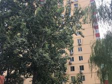 甜水园北里95年钢混西南朝向诚意出售