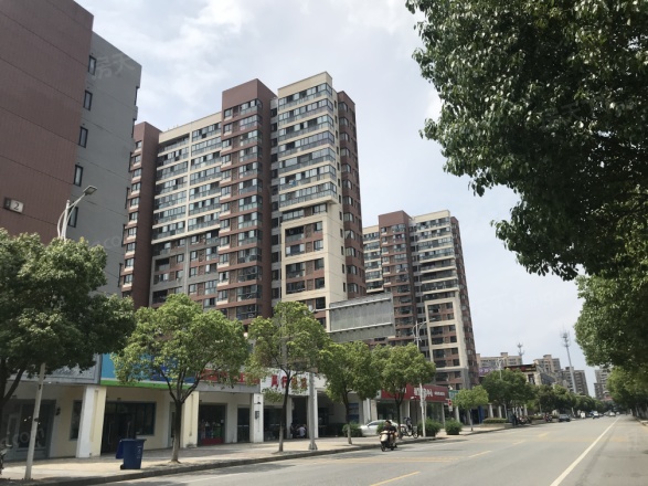 金塘园