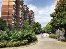 14年商品房 位置好 采光佳 视野开阔,毛坯南北通