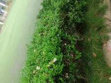 嘉丰佳苑 5室2厅 南 北