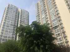 新上政馨园一区朝北两居室商品房上下楼方便