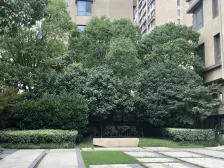 翡丽云邸(一期) 3室2厅 南