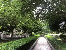 欧洲豪庭2室东朝向750.00万元/套出售