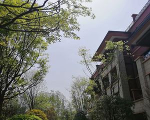 华新花予墅4室2厅东南