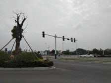 急售当代城洋房,纯毛坯,看房子方便