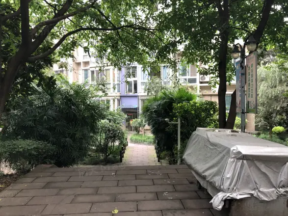 典雅麒龙山水实景图