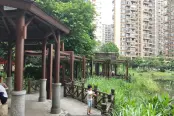 微信图片_2019071017404110
